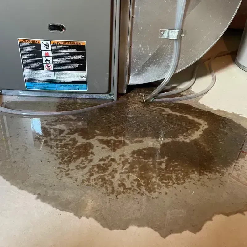 Appliance Leak Cleanup in Edgemont Park, MI